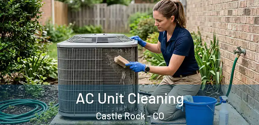  AC Unit Cleaning Castle Rock - CO